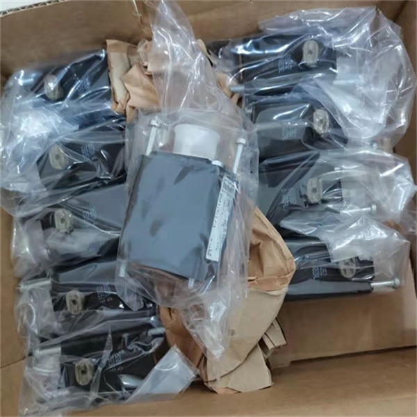 O1D105TS5089流量开关BURKERT宝德